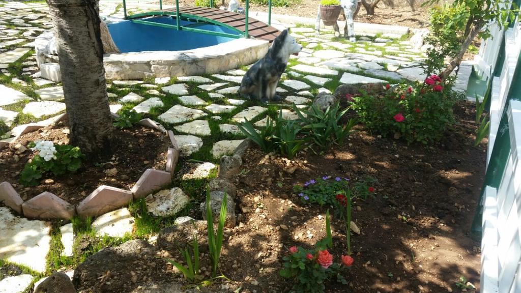 Apartments Matko Makarska Bagian luar foto